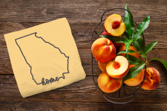 Georgia Home State Outline: A Designer’s Review